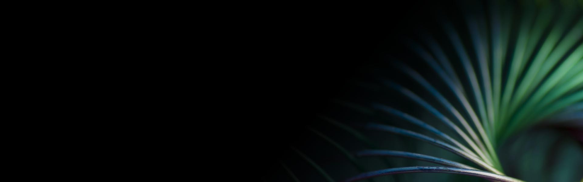 Solutions Overview
