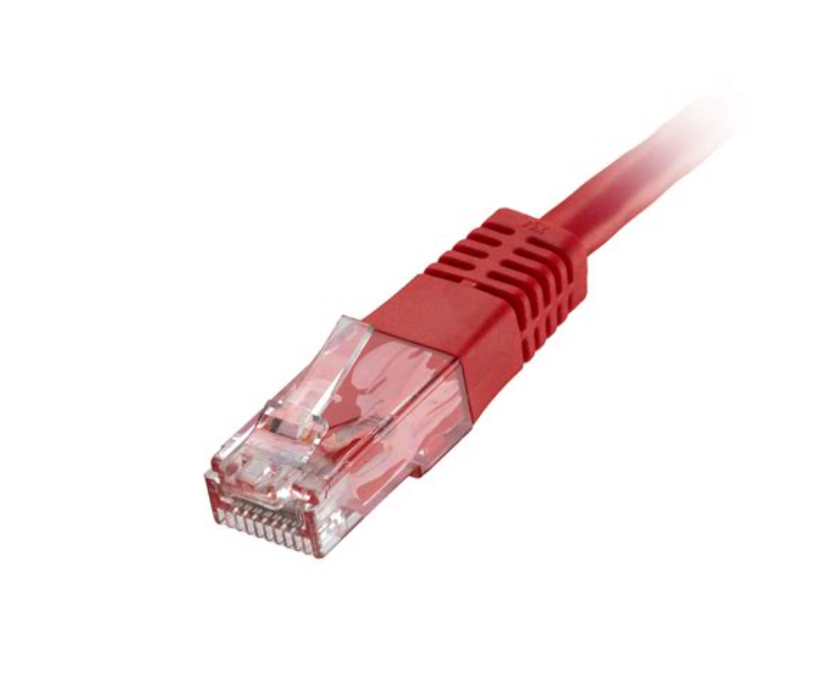 Cat6 Patch Cord
