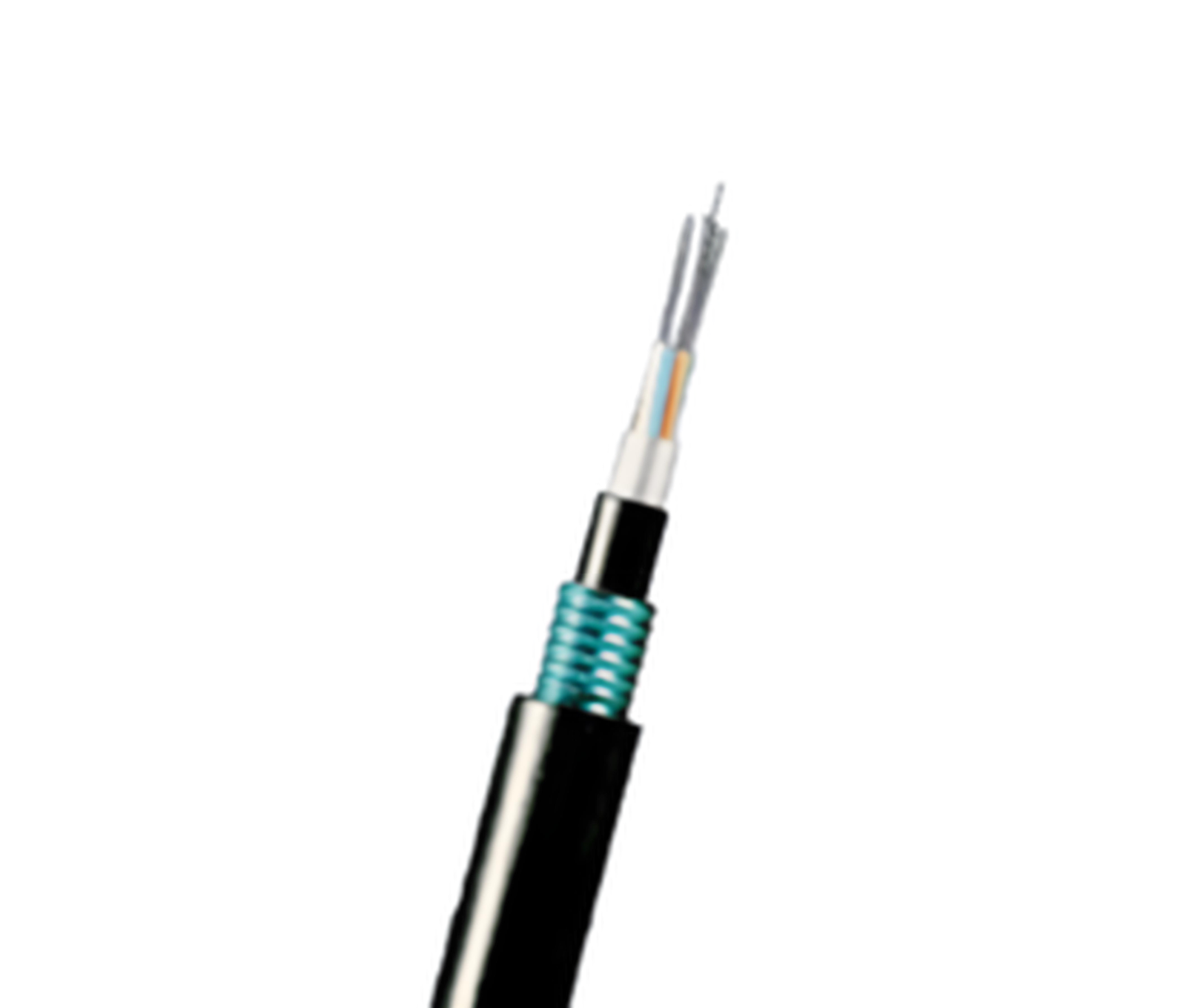 FC06-M33006